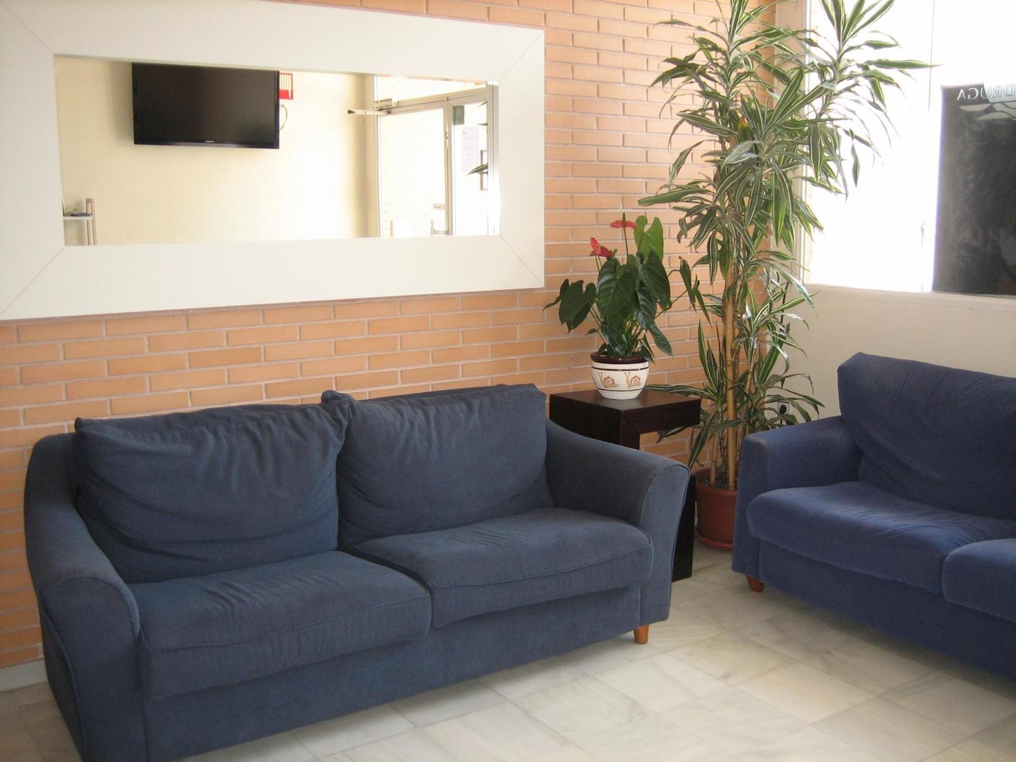 Hostal Madruga Elche Exterior photo